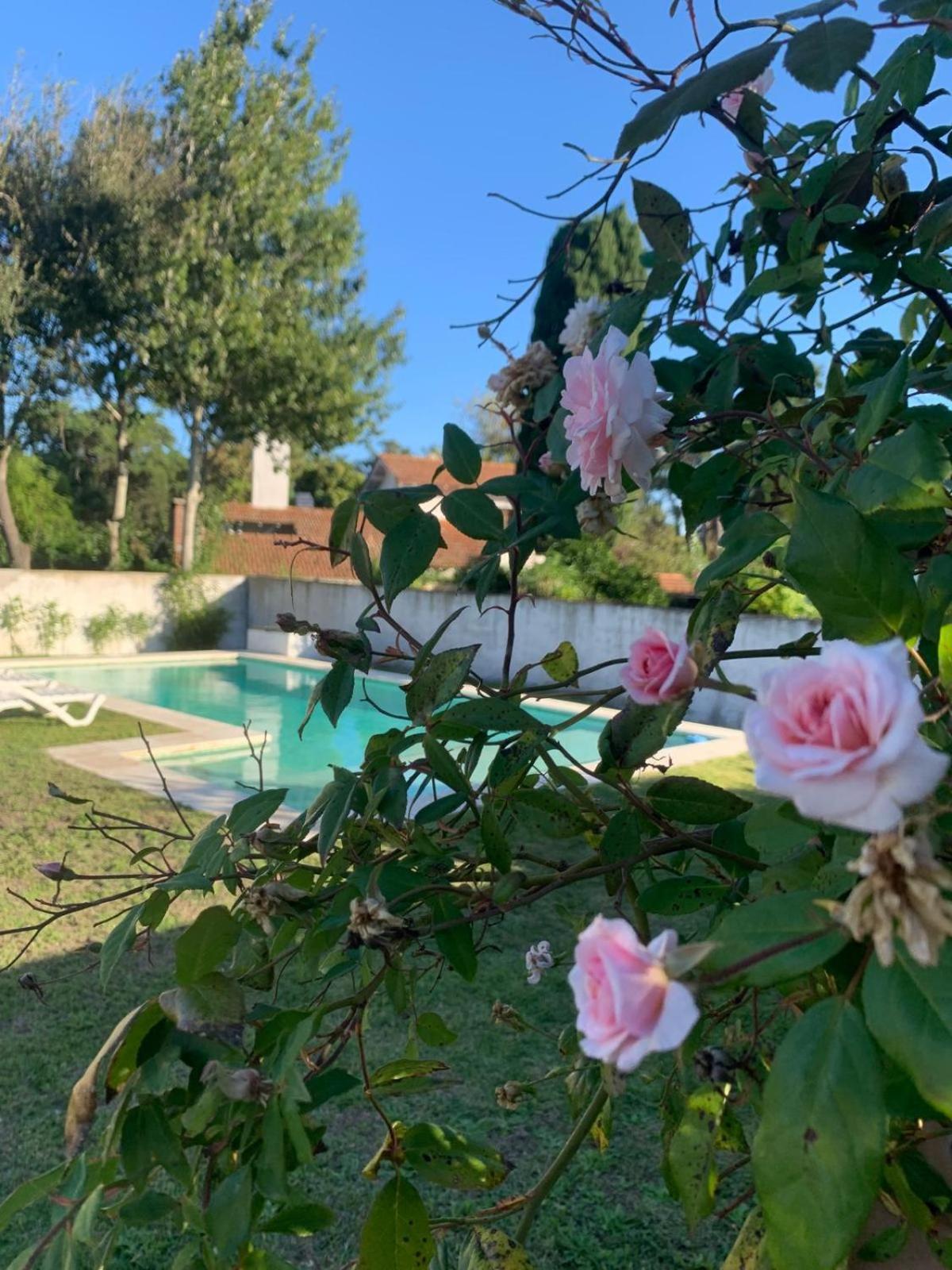 Casa Con Pileta La Serena Villa Gesell